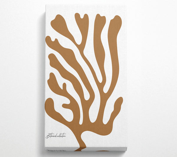 Botanisches Korallenbeige
