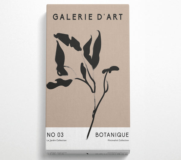 Galerie Sammlung Pflanze