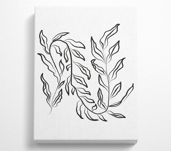  A Canvas Print of Dainty Leaves Canvas Print