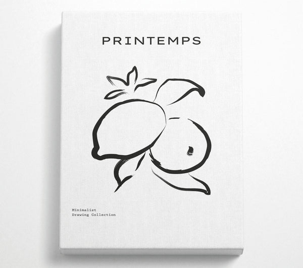  A Canvas Print of Lemons Ink Canvas Art