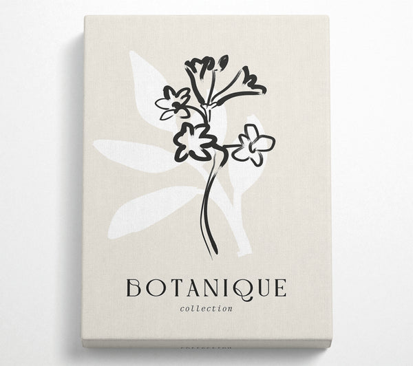  A Canvas Print of Botanical Plant Lines Canvas Wall Art