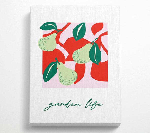  A Canvas Print of Garden Life Pears Canvas Wall Art