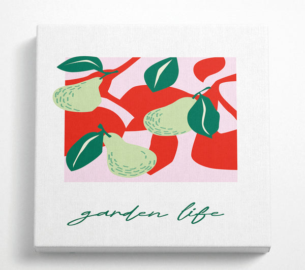 A Square Canvas Print Showing Garden Life Pears Square Wall Art