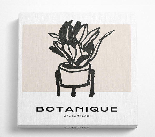 A Square Canvas Print Showing Botanique Flower Vase Square Wall Art