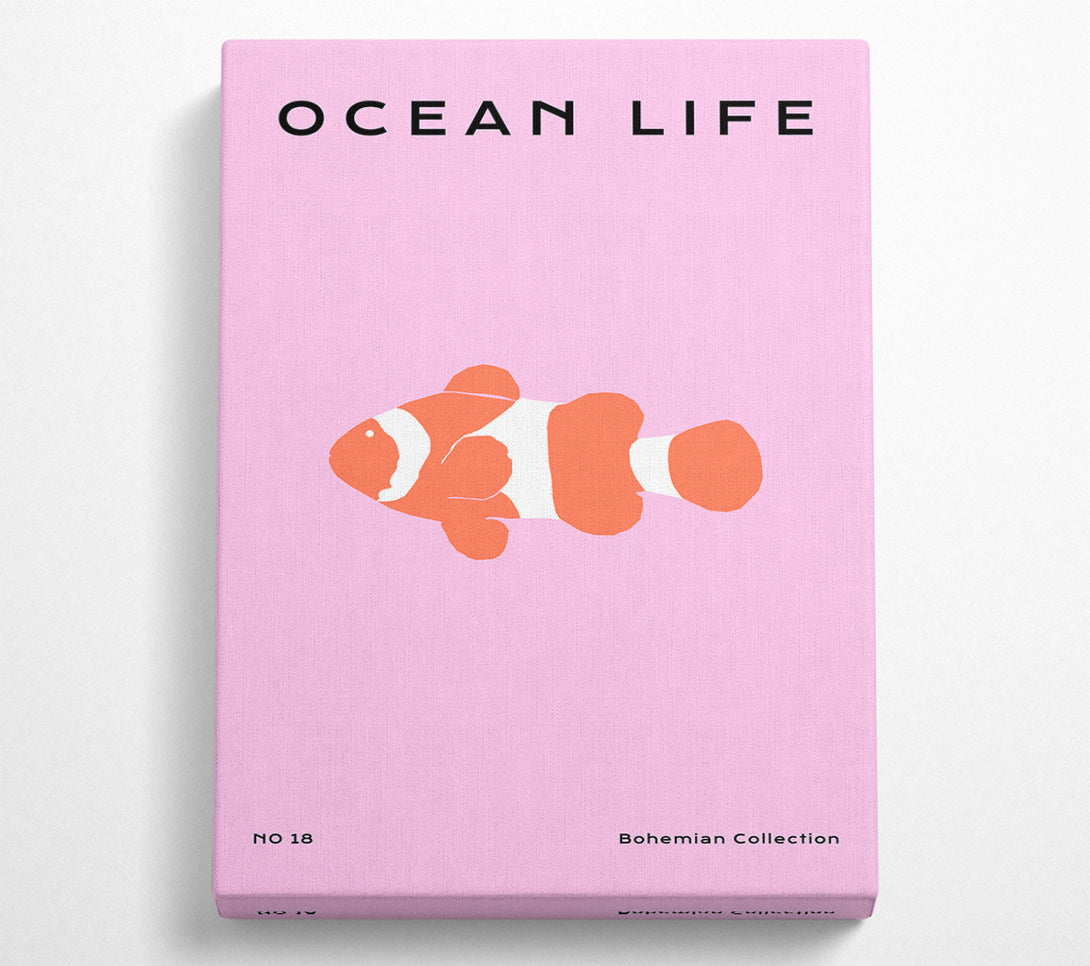  A Canvas Print of Clown Fish Canvas Art