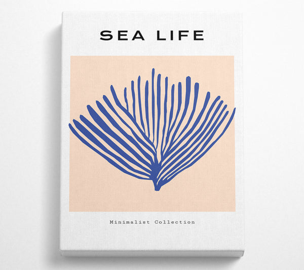  A Canvas Print of Sea Life Blue Coral Canvas Print