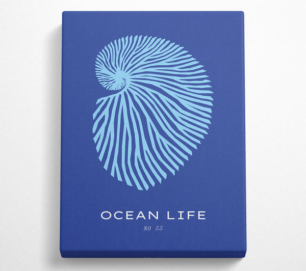  A Canvas Print of Ocean Life Shell Blue Canvas Art
