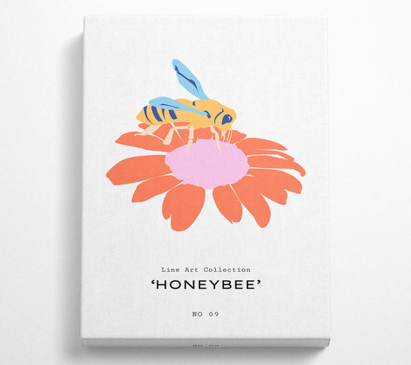 Modern Honey Bee