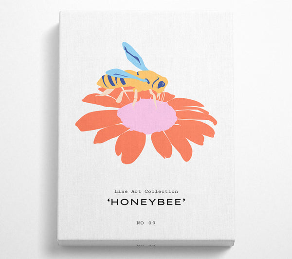 A Canvas Print of Modern Honey Bee Canvas Print