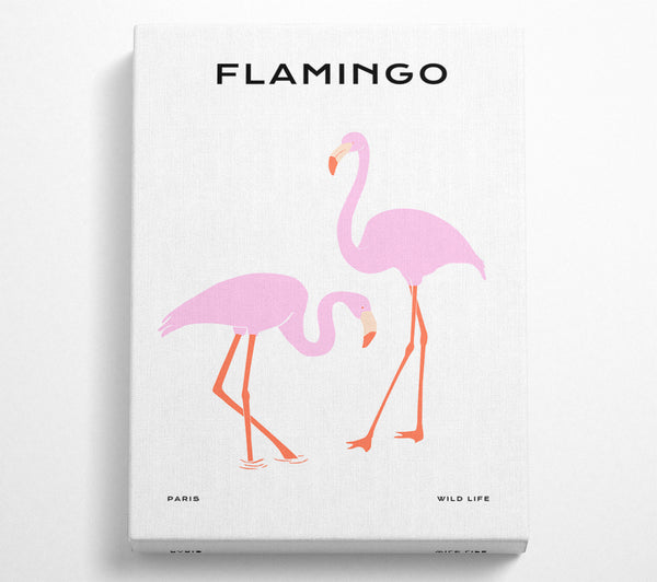 Rosa Flamingo