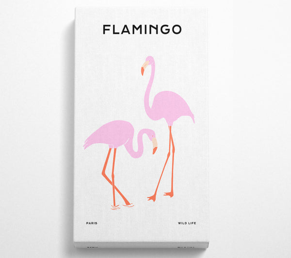 Rosa Flamingo