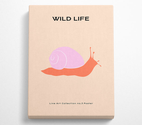  A Canvas Print of Art Snail Canvas Print