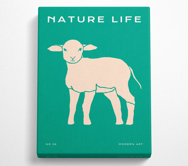  A Canvas Print of The Little Lamb Canvas Wall Art