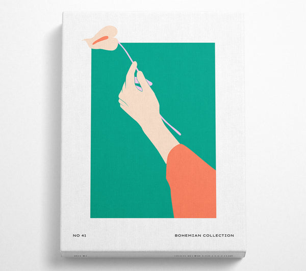  A Canvas Print of The Simply Lily Canvas Print