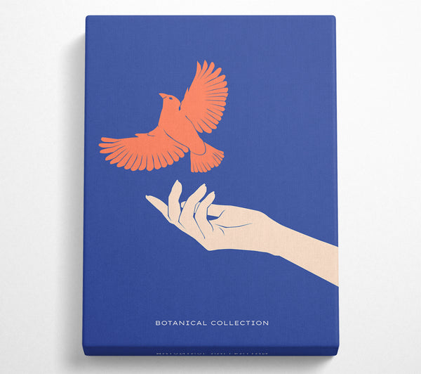  A Canvas Print of Dove From A Hand Flight Canvas Print