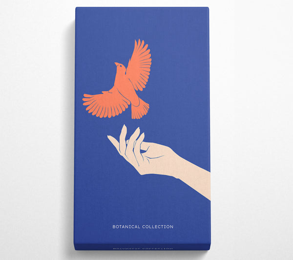 Dove From A Hand Flight