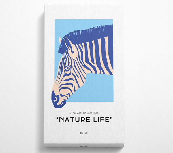 Zebra Nature