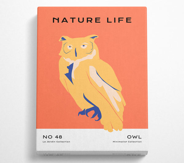  A Canvas Print of The Wise Owl Canvas Art