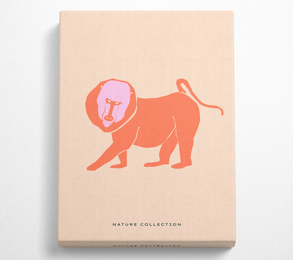Orangefarbener Mandrill