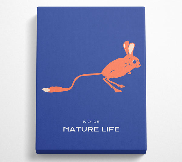  A Canvas Print of Bouncing Jerboa Canvas Wall Art