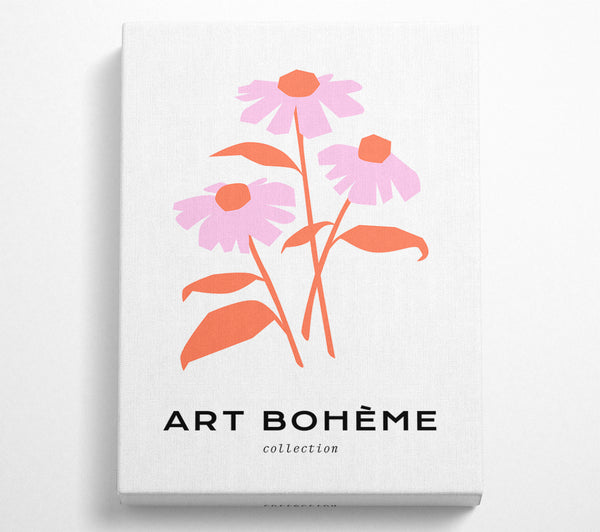 Die rosa Gänseblümchen