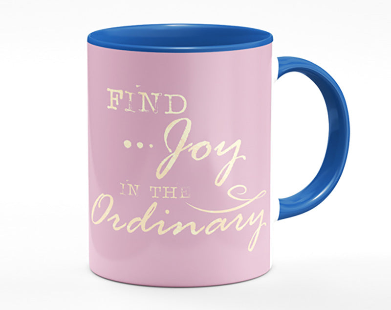 Find Joy In The Ordinary Mug