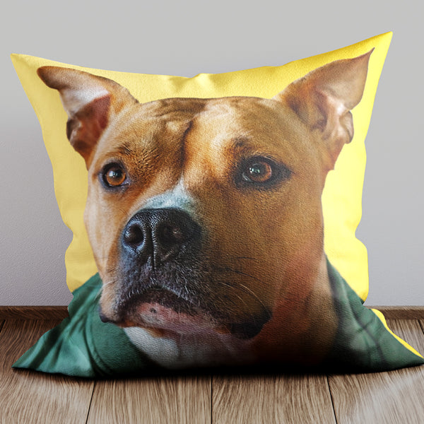 Your Picture On A Cushion